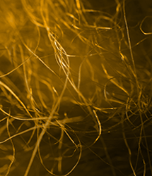MOKI research in novel polymer fibers and non-woven materials